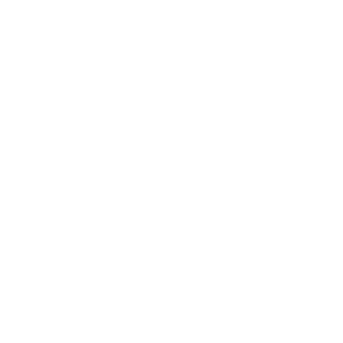 Acne Studios logo