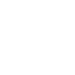 Alexander Wang logo