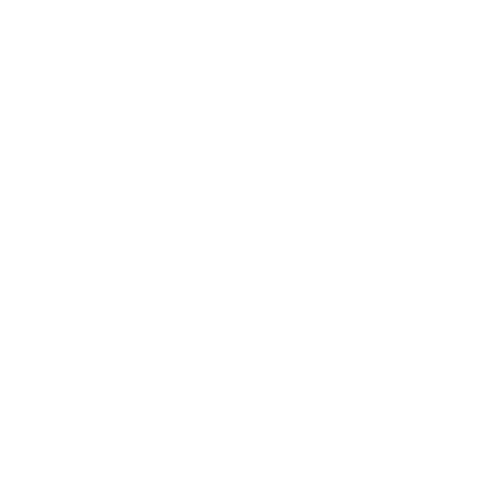 Amiri logo