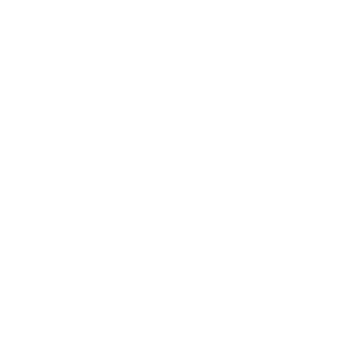 AUDEMARS PIGUET logo