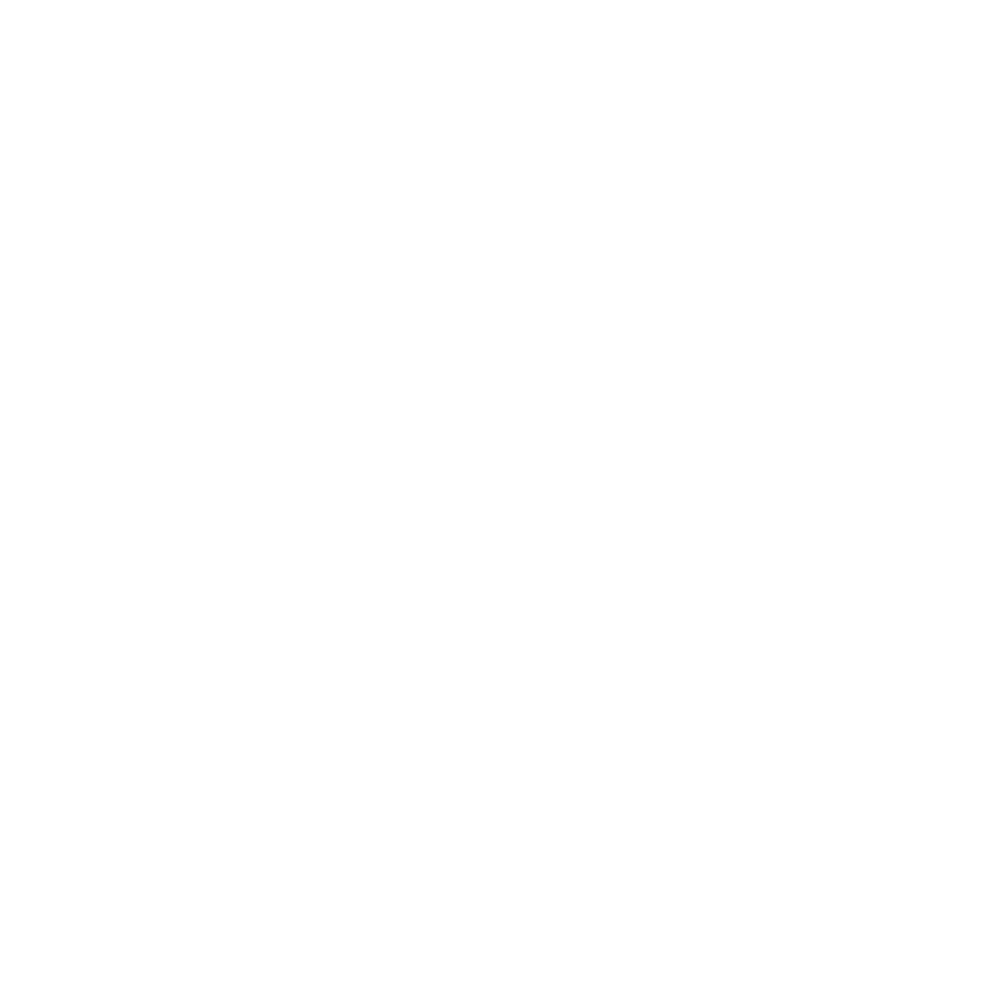 BALLY logo