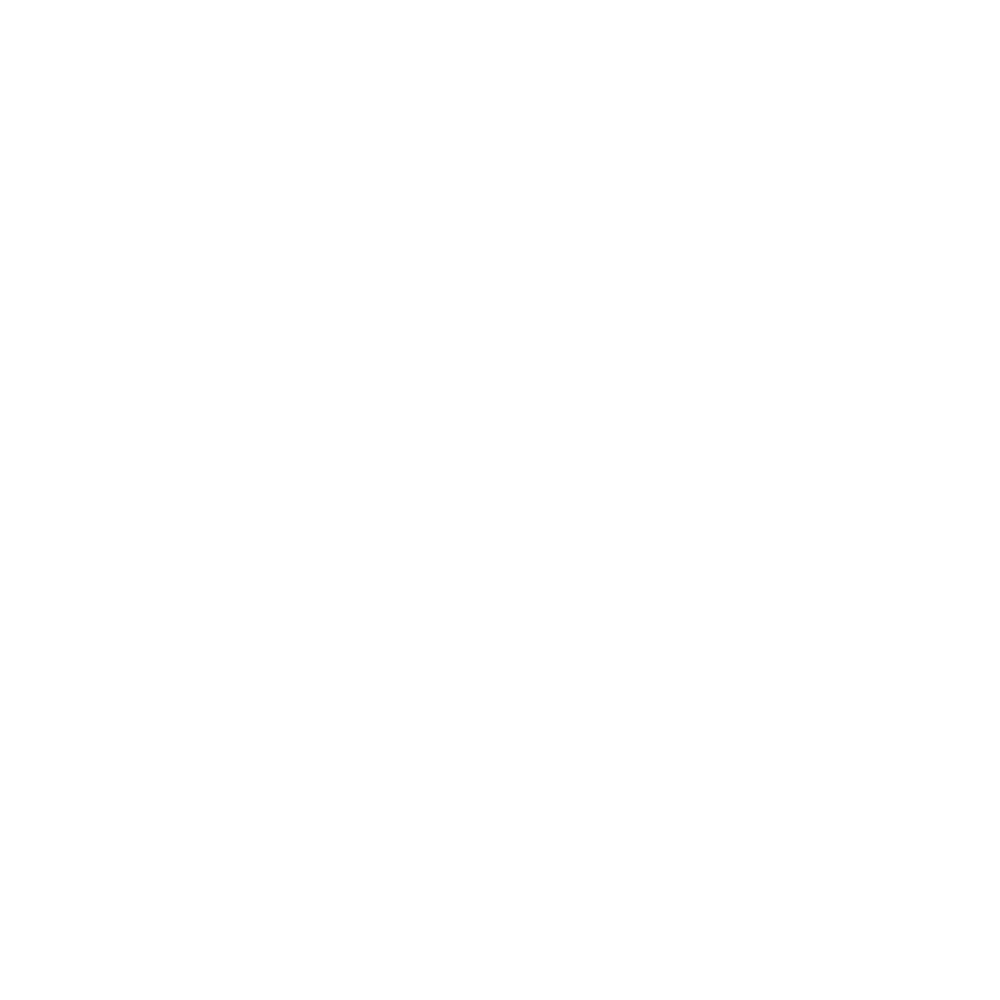 Common Projects logo