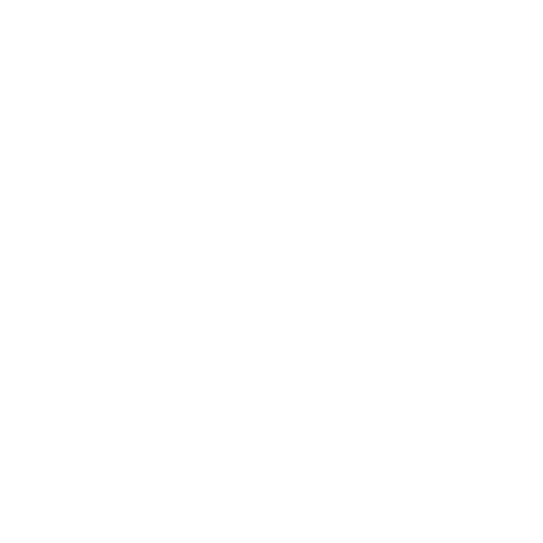 Descente logo