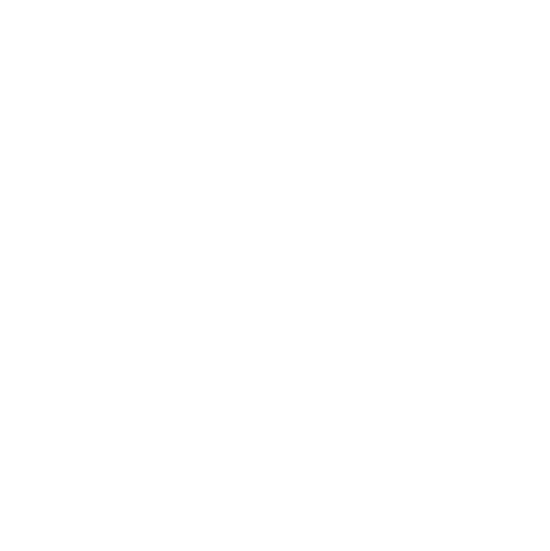 Golden Goose logo