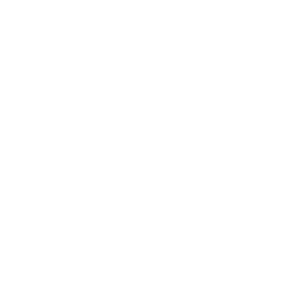 Hogan logo