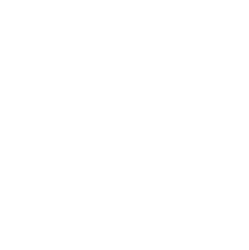Max Mara logo