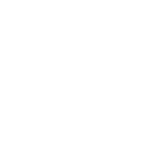 Nars logo