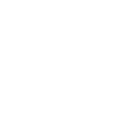 Polo Ralph Lauren logo