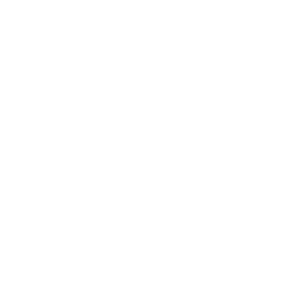 Raf Simons logo