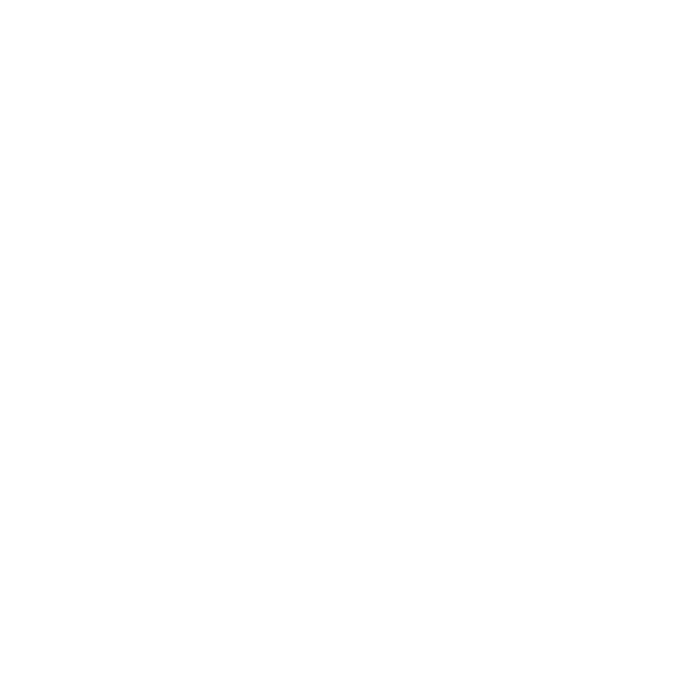 Rene Caovilla logo