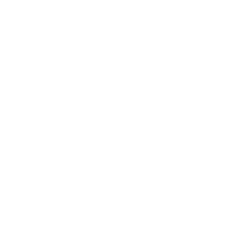 RICHARD MILLE logo