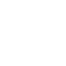 Stone Island logo