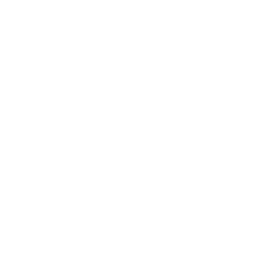 STUART WEITZMAN logo