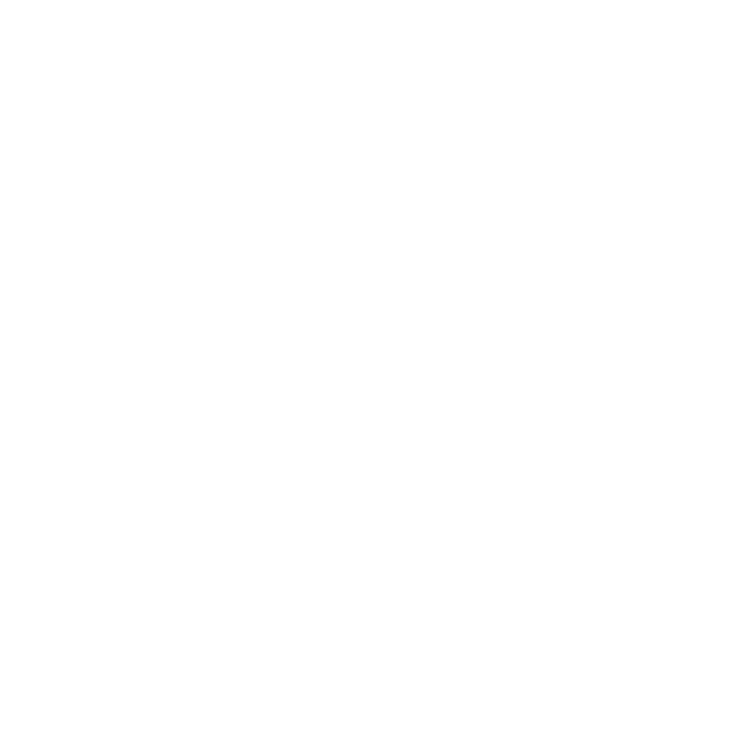 Stussy logo