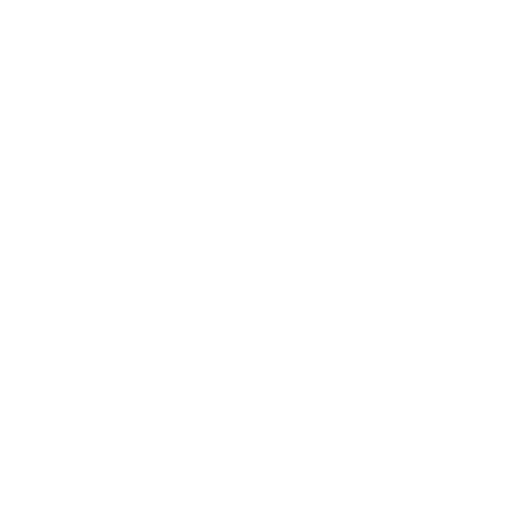 THE NORTH FACE logo