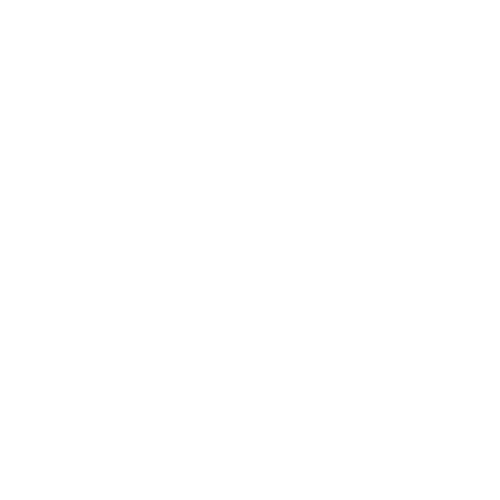 TUDOR logo